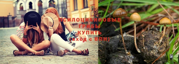 дживик Дмитровск