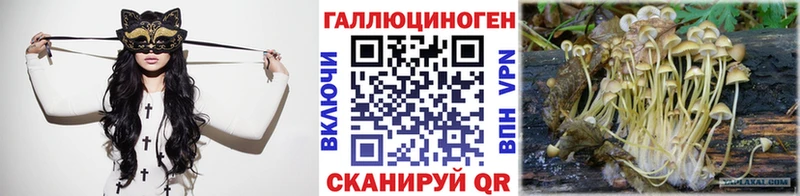 Купить  Каневская  Галлюциногенные грибы Psilocybine cubensis 